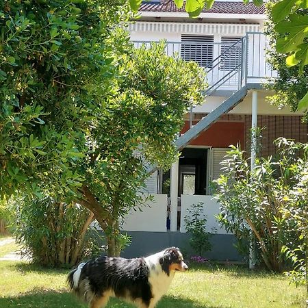 .....Und Der Hund Darf Mit Apartment Privlaka  Ngoại thất bức ảnh
